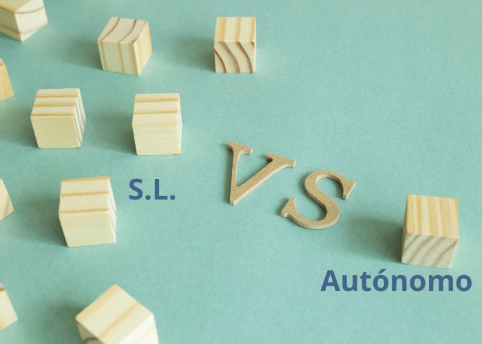 Sociedad Limitada o Autonomo Edar Consulting